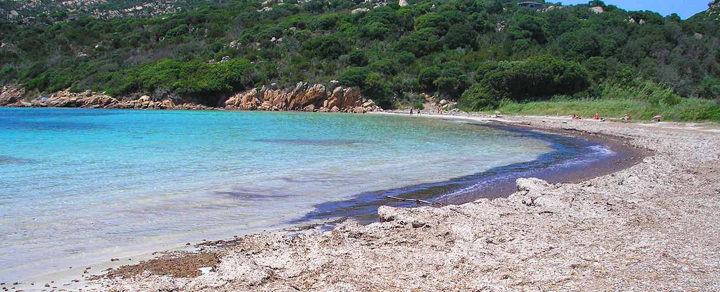 Posedonia - using seaweed as fertilizer